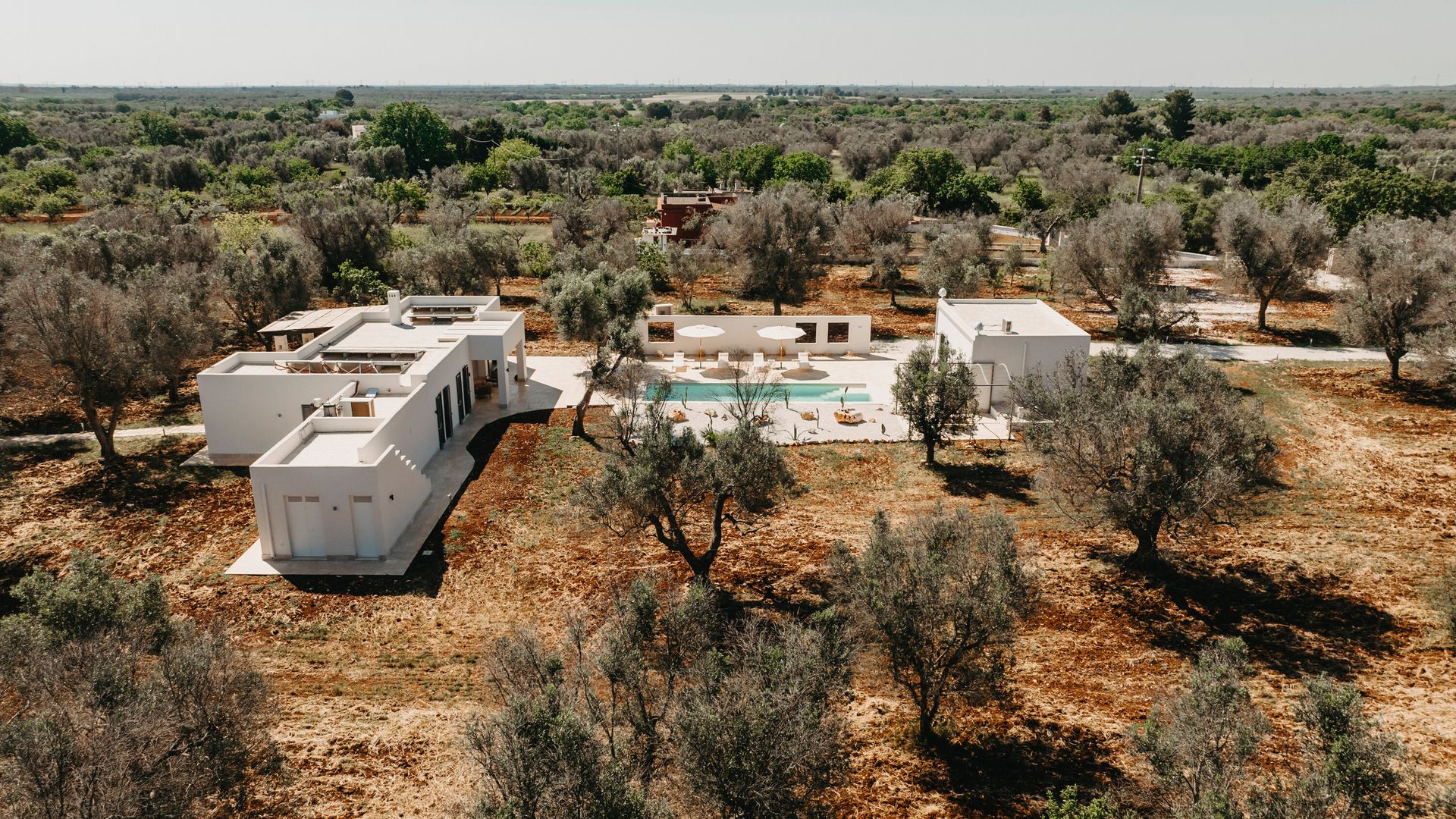 Vista general de dos villas de estilo mediterráneo, rodeadas de olivos y con piscina 