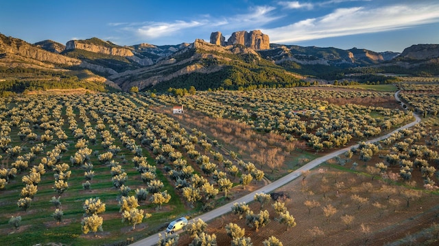 Paisaje de las Roques de Benet en el Parque Natural de Els Ports, Tarragona