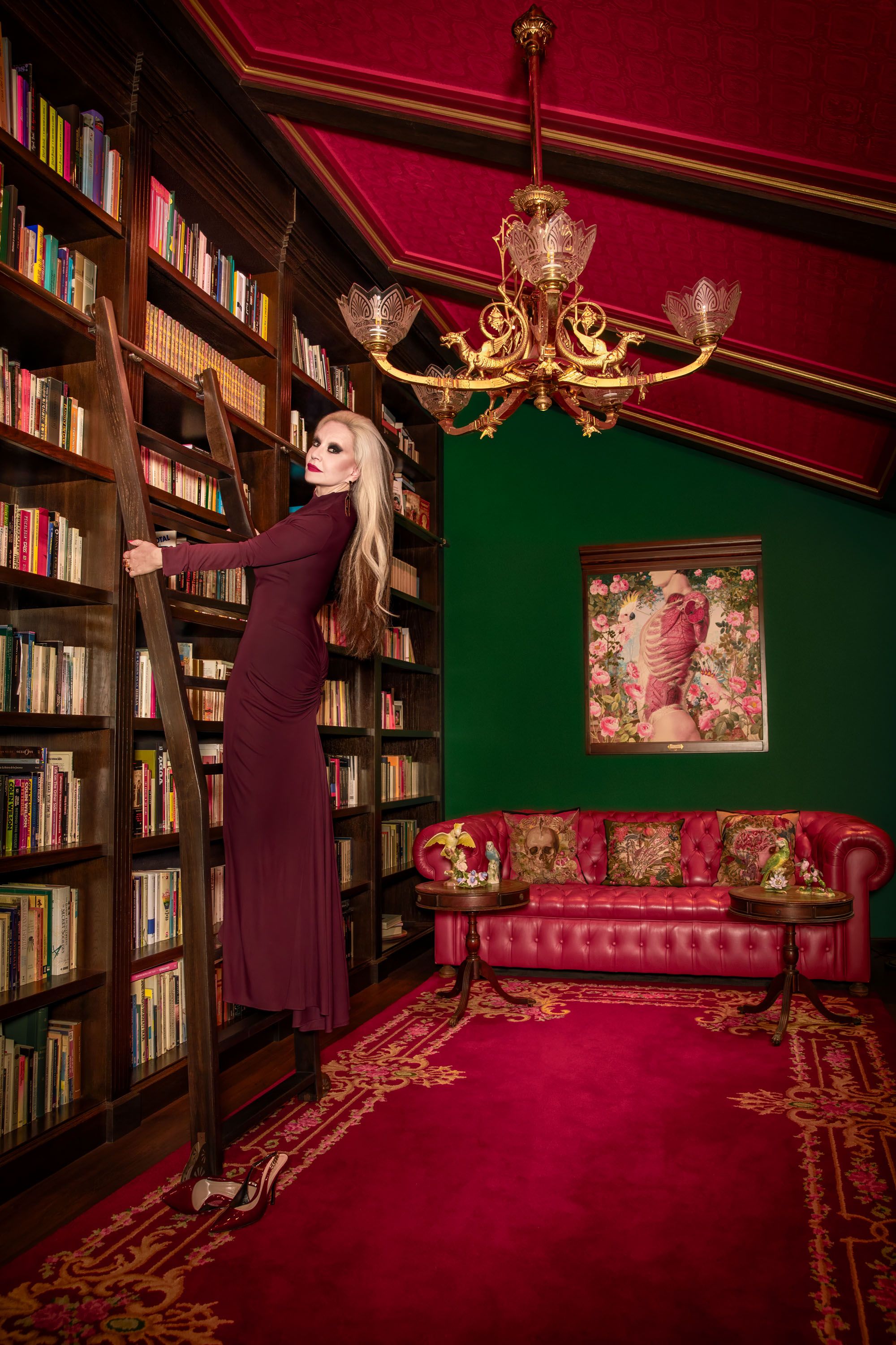 Alaska en su librería