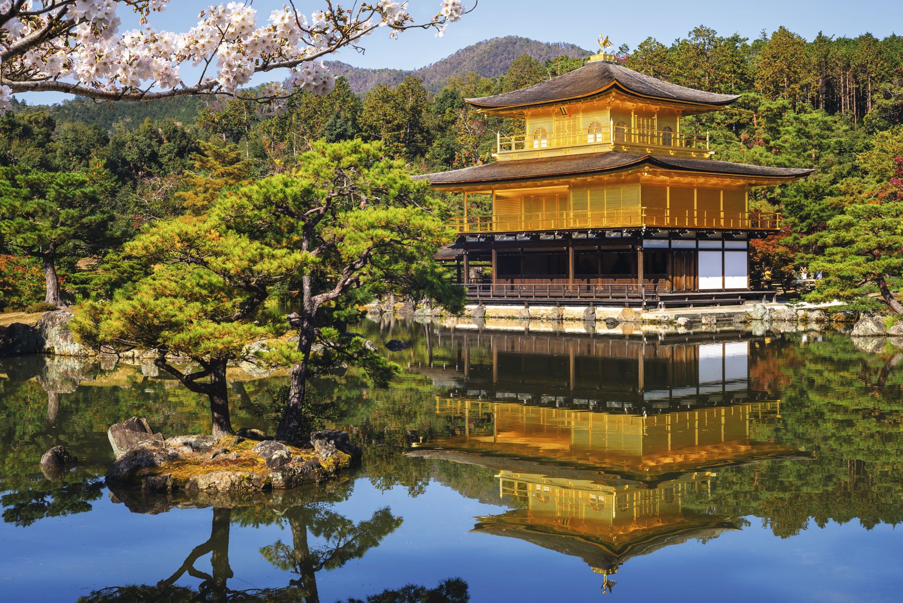 Japón