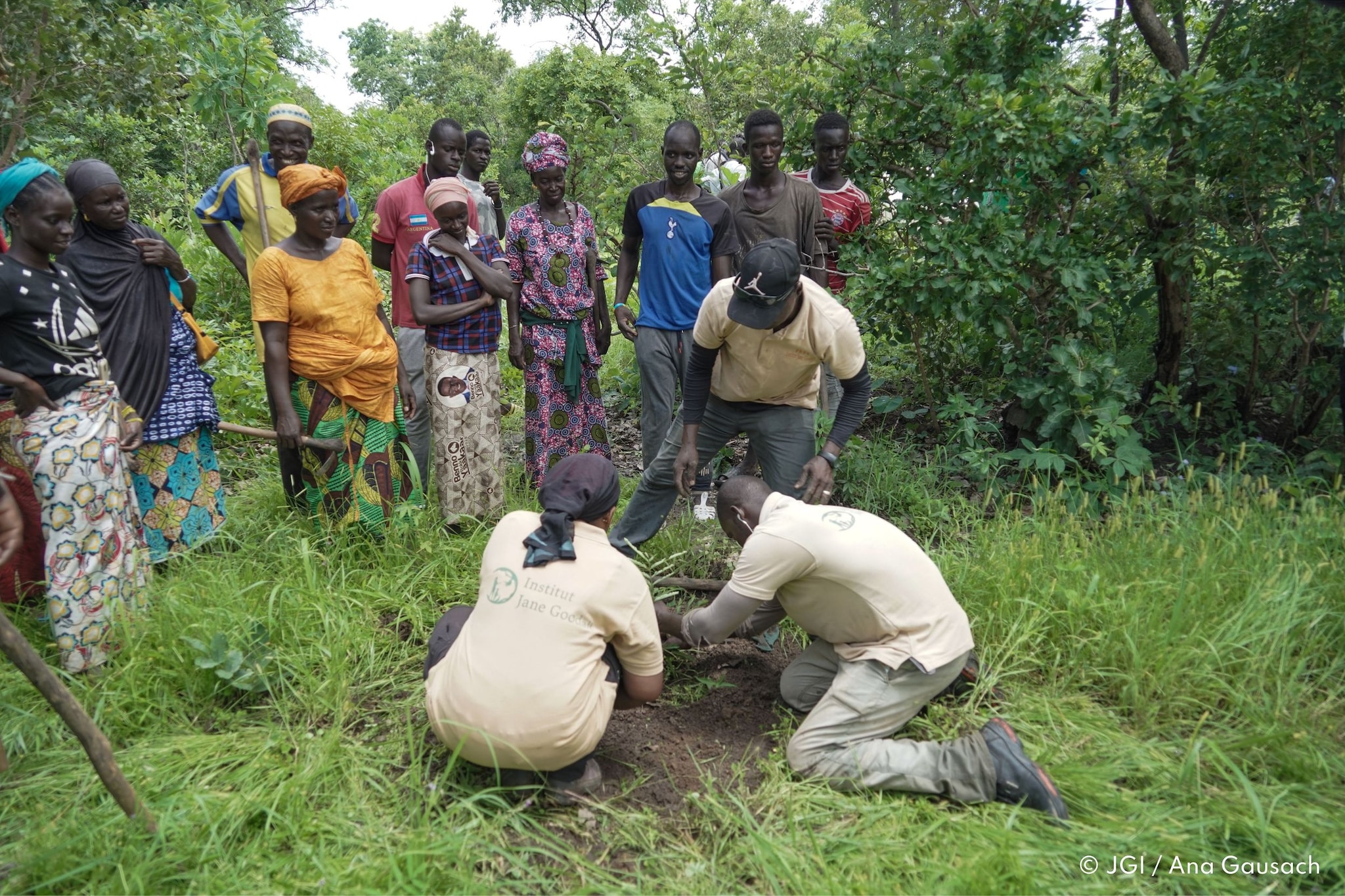 El equipo de IJG España en Senegal realizando una reforestación junto a la comunidad local en una aldea de la región de Kédougou, al sureste del país