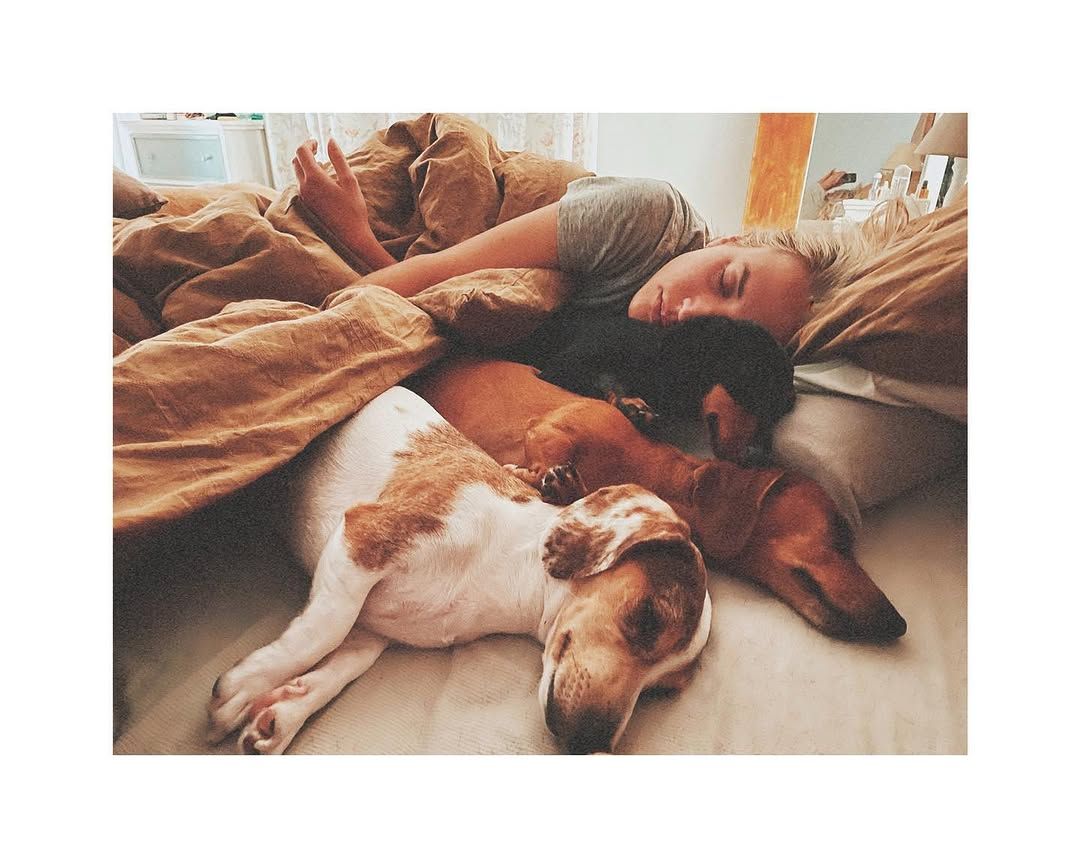 Ana con tres de sus seis perros en su casa de la sierra de Madrid