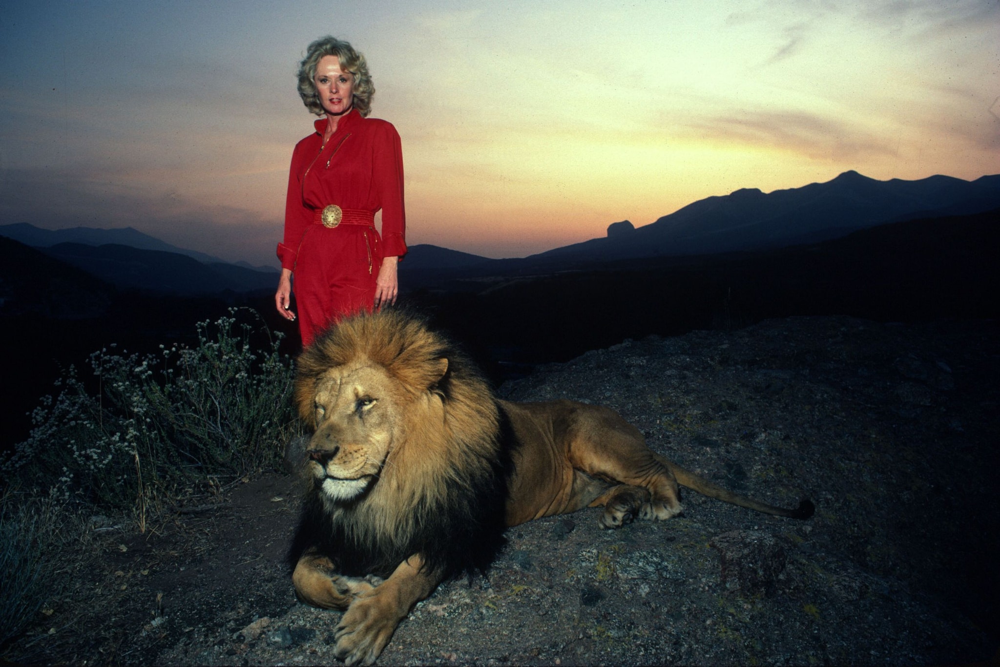 Tipi Hedren con un león