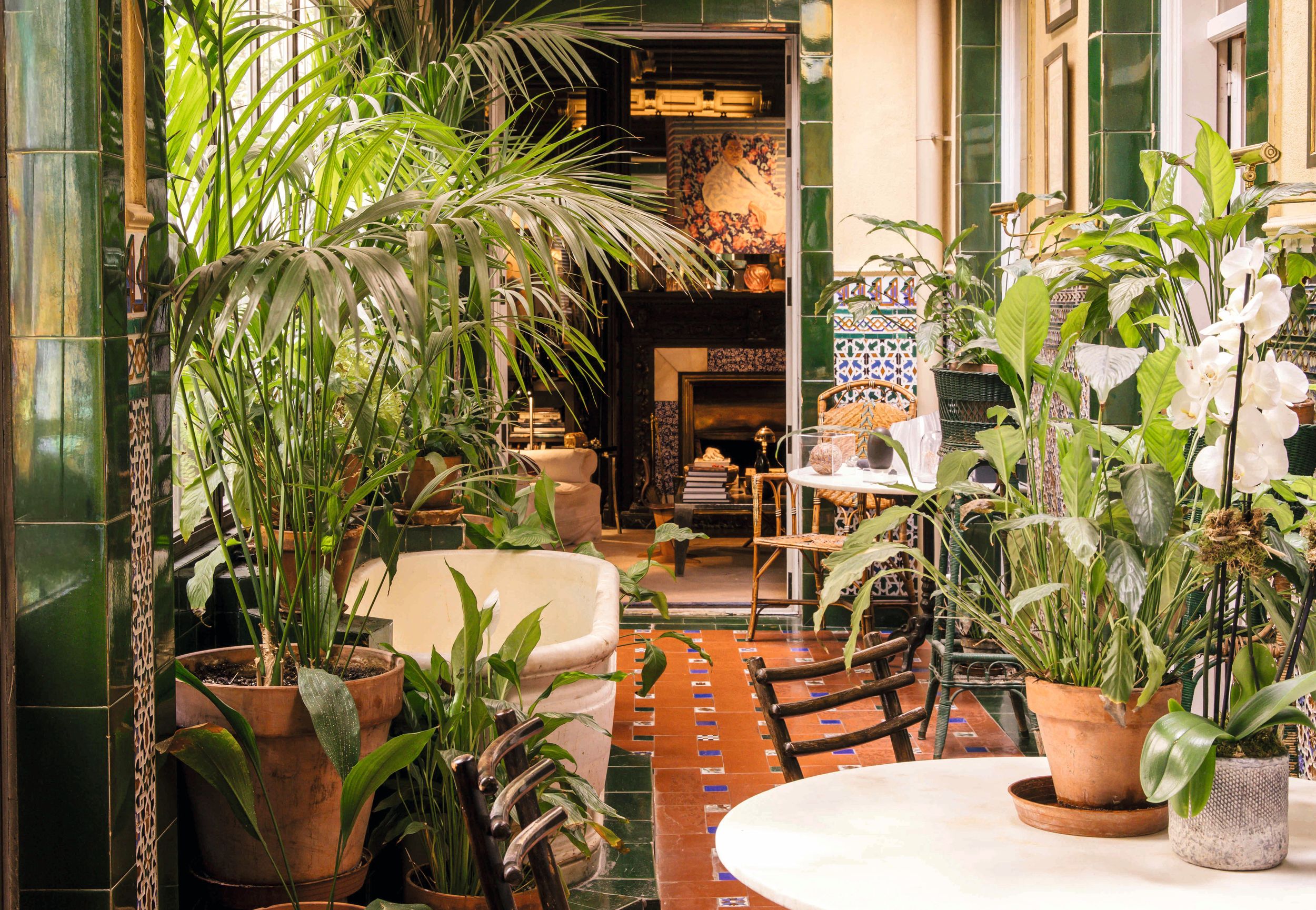 Plano plantas en la terraza de la casa