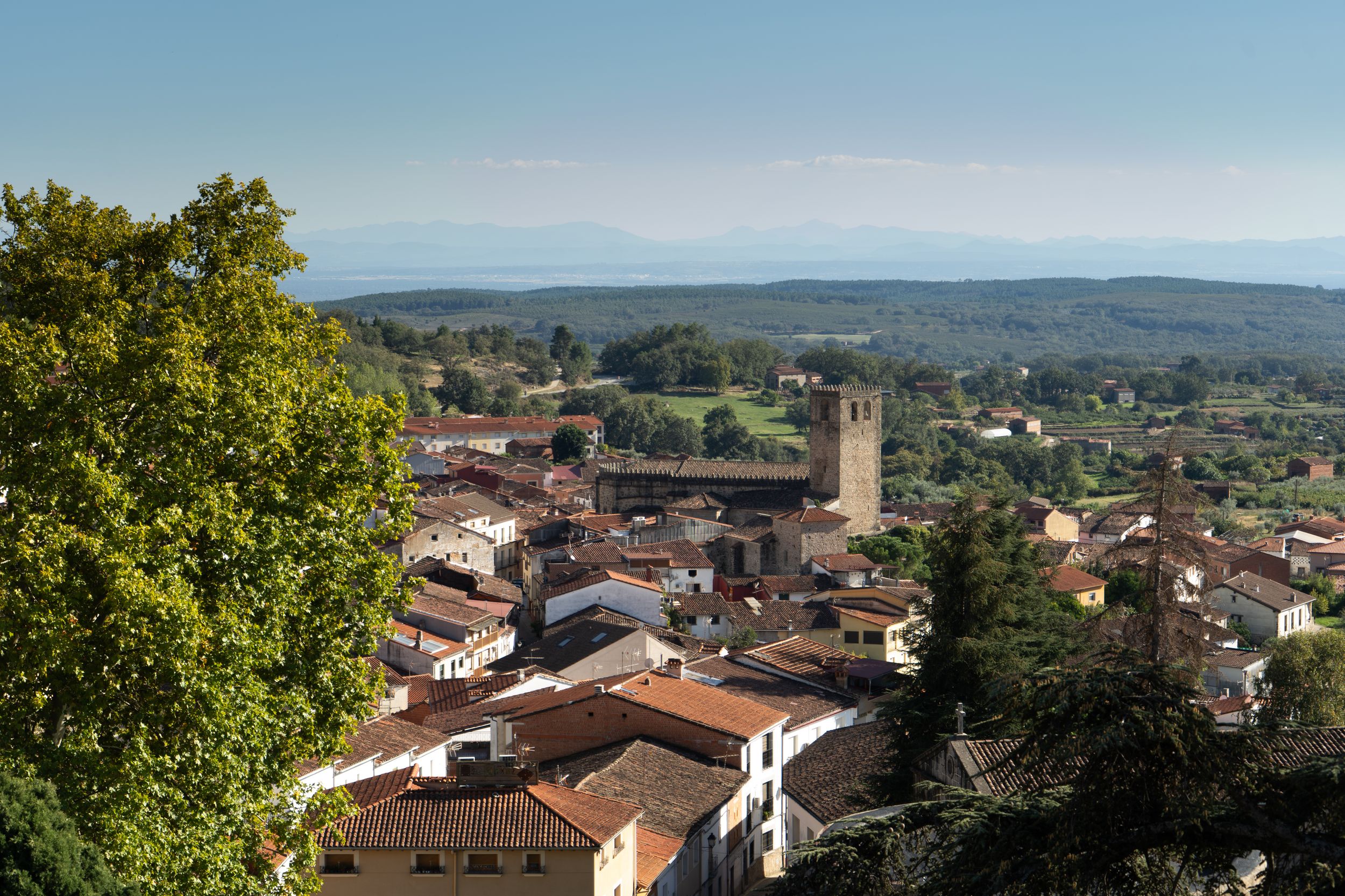 Media Image