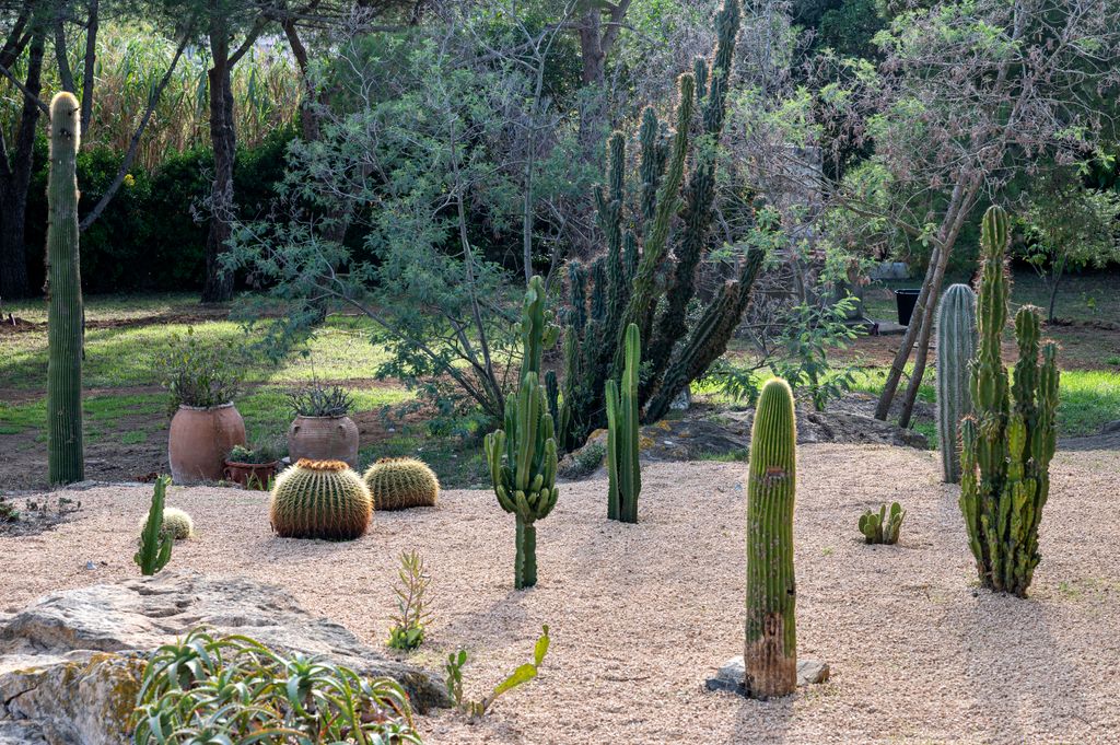 Lo que ya existe en el jardín también debe formar parte del nuevo diseño