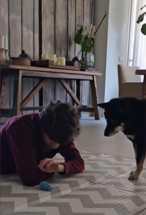 Kike, hijo de Fabiola Martínez y Bertín Osborne, juega con la mascota y su gran apoya