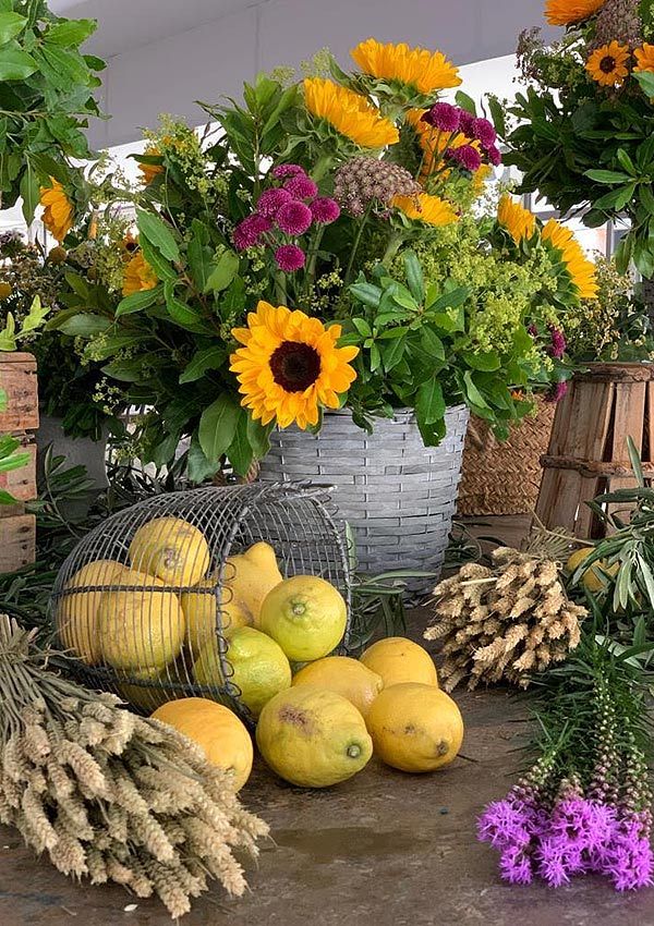 Flores de Marta Azpeitia