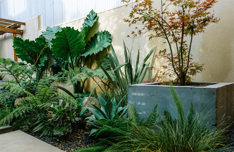 El estudio de paisajismo Simbiosi Estudi selecciona en este jardín de orientación norte plantas con follaje abundante