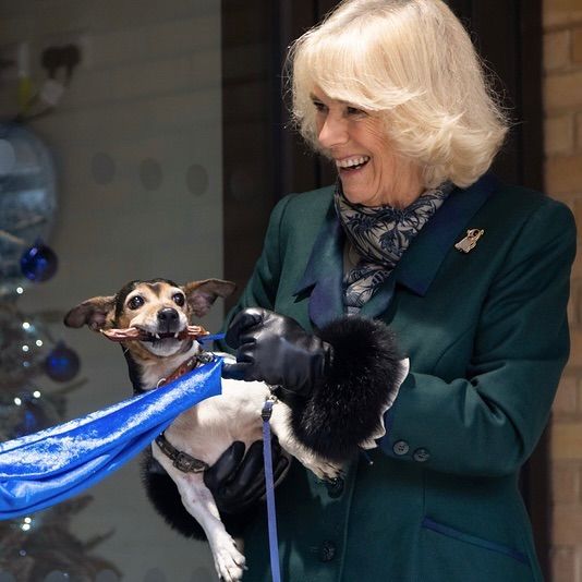 Plano medio de la reina Camilla con su perro 