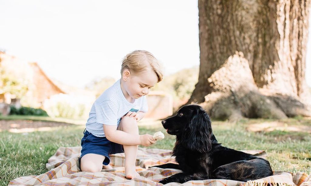 lupo el perro del pr ncipe william y kate middleton