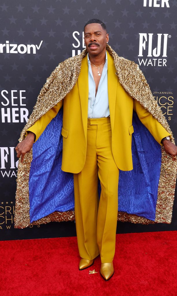 29th Annual Critics Choice Awards – Red Carpet