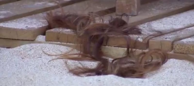 Pelo de Jessica