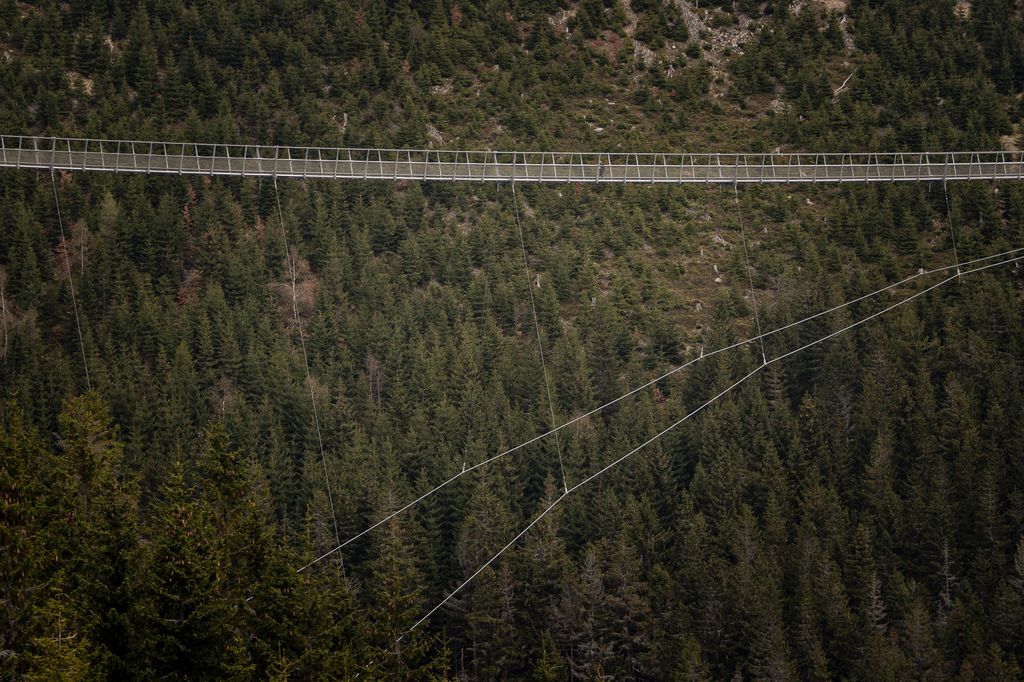 Desde lo alto se contemplan los bosques y montañas de Dolní Morava, a más de 1.100 metros sobre el nivel del mar