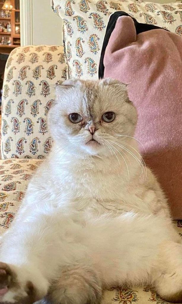 Olivia Benson