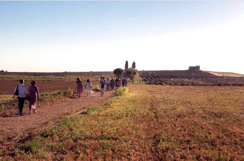 Primer Festival de Lavanda en Pezuela de las Torres, en la Alcarria madrileña