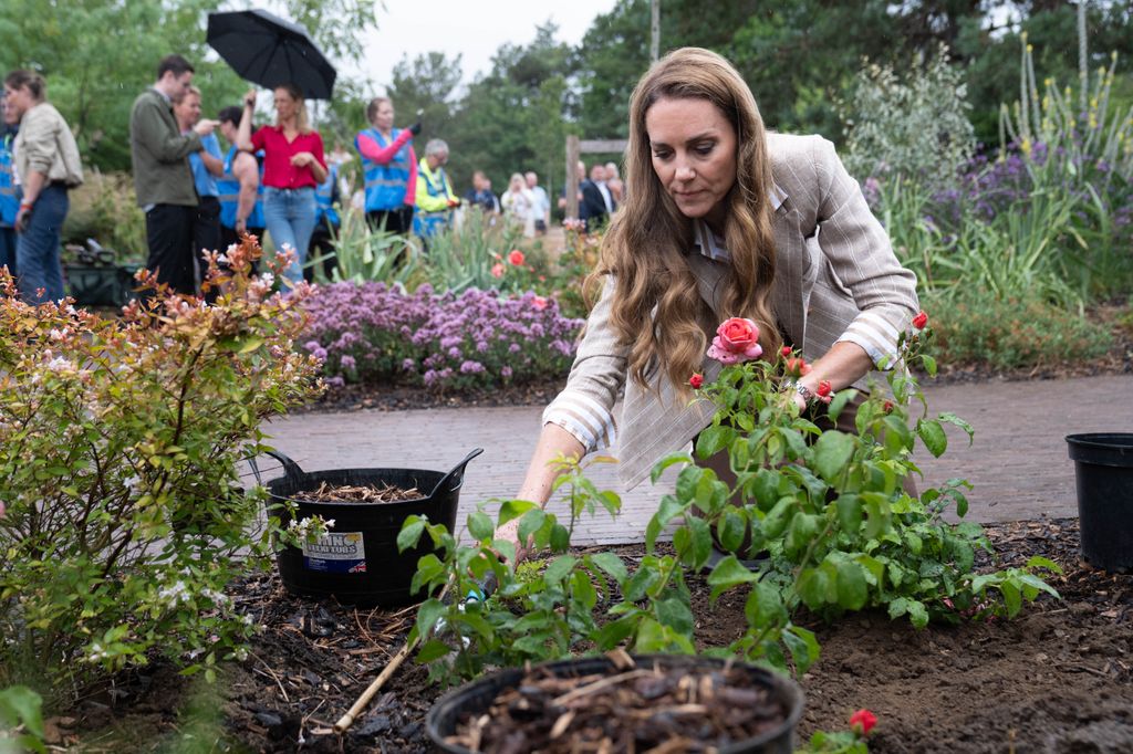 Kate Middleton
