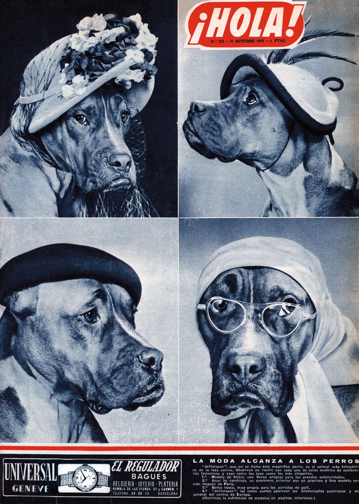 Media Image
