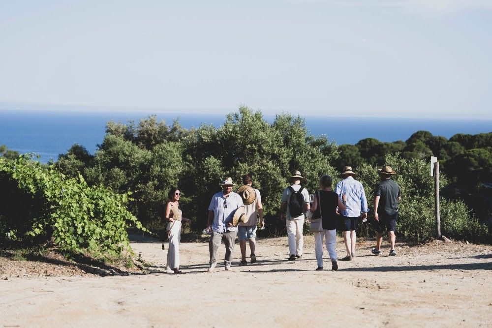 Enoturismo en Art Laietà, Alella (Barcelona)