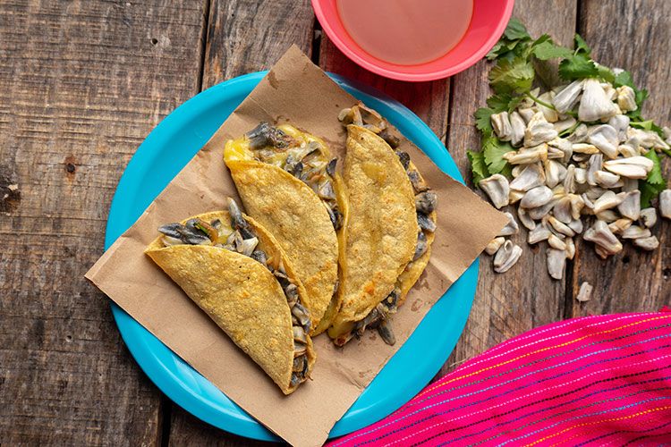 Quesadillas de huitlacoche