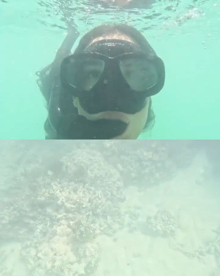 Ale Capetillo y Nader Shoueiry comparten las fotos de su luna de miel en las islas Seychelles
