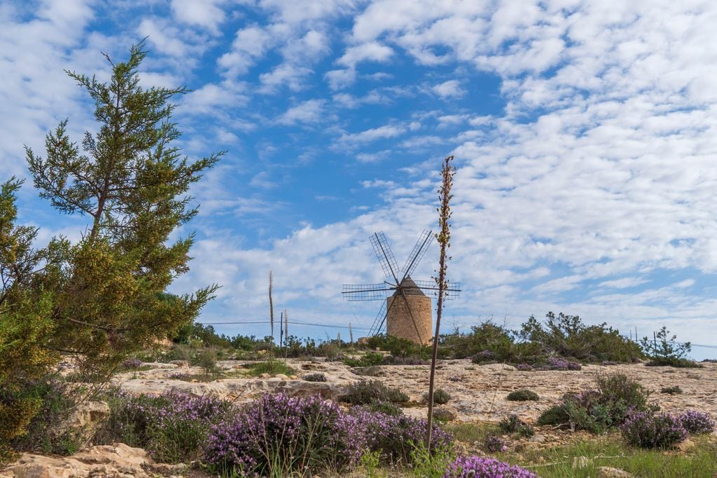 Molinos de San Francesc Formentera