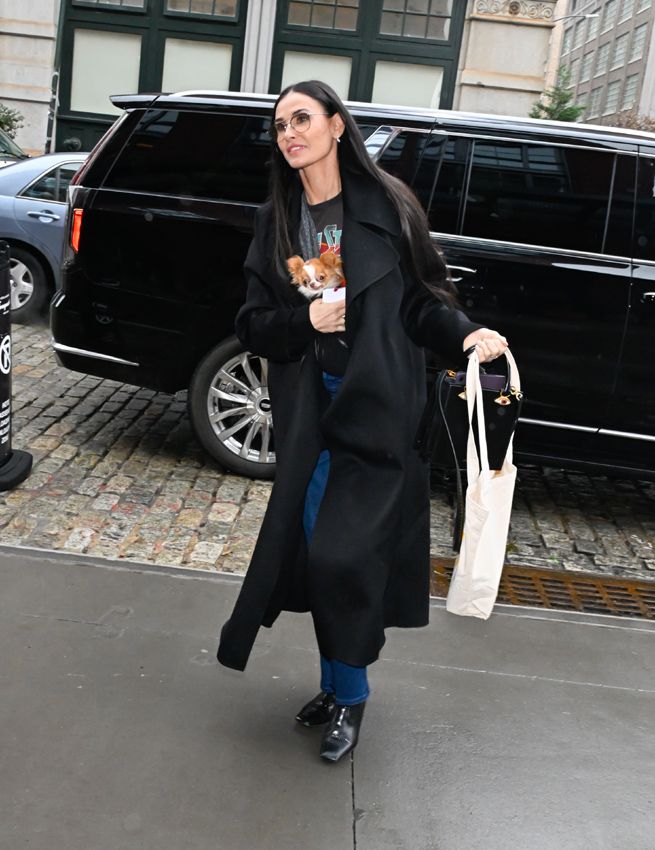Demi Moore y su perro Pilaf al que siempre lleva metido en algún bolsillo