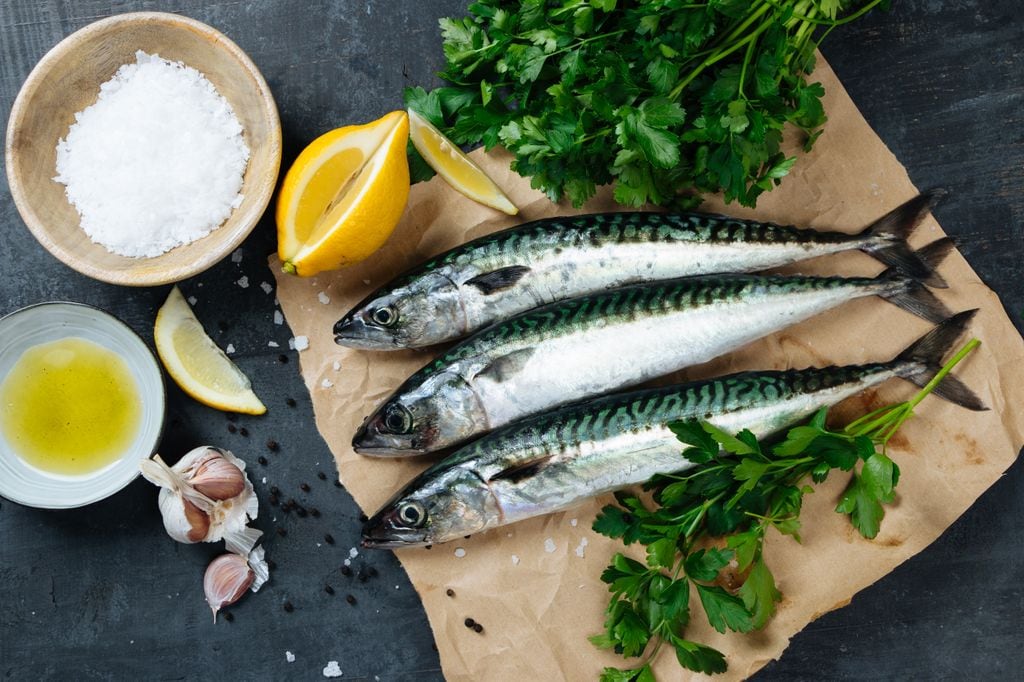 La caballa es un pescado azul que tiene mucho sabor y está lleno de propiedades saludables.