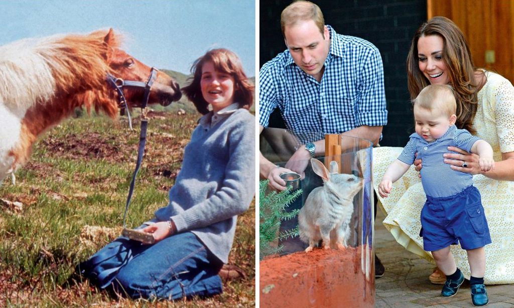 16 - Getty Diana horse-Collage-U24384311744PZG