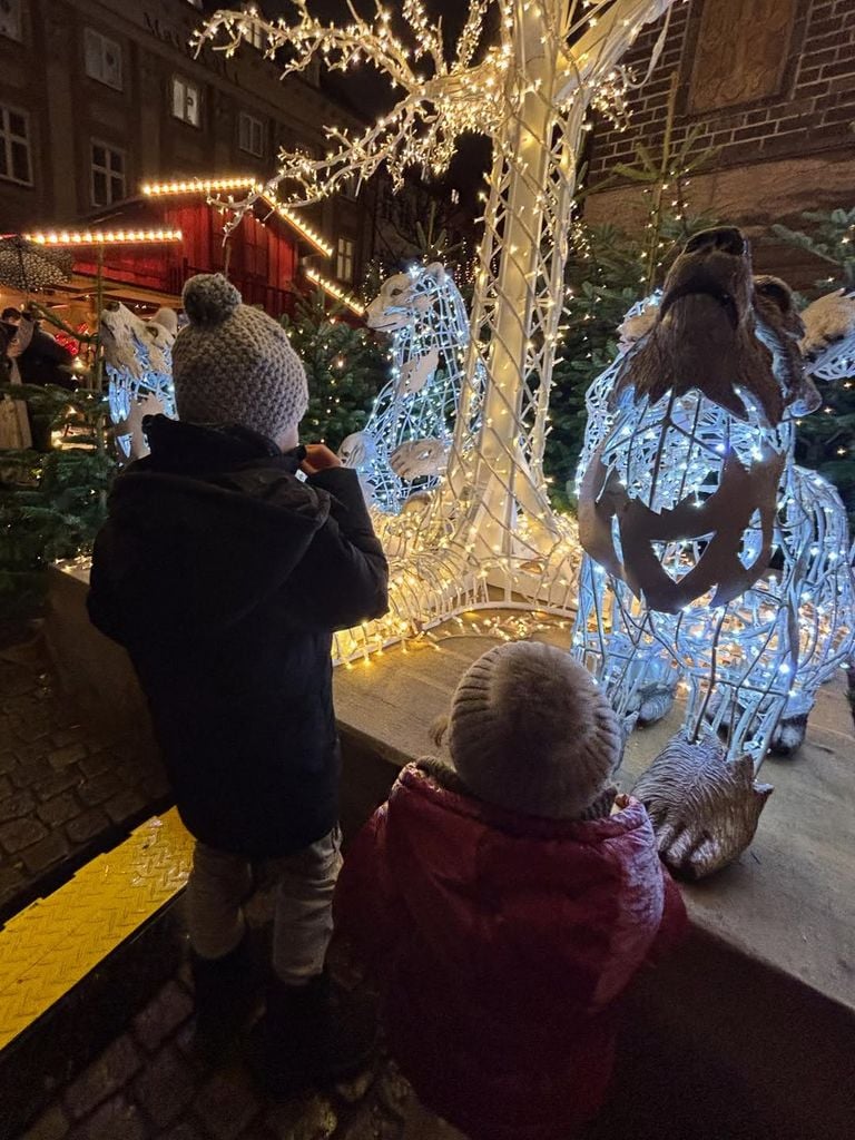 Los dos hijos de la pareja