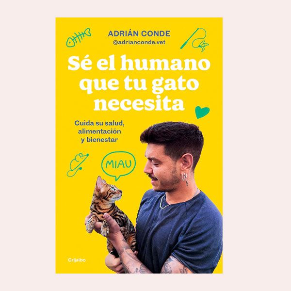 se el humano que tu gato