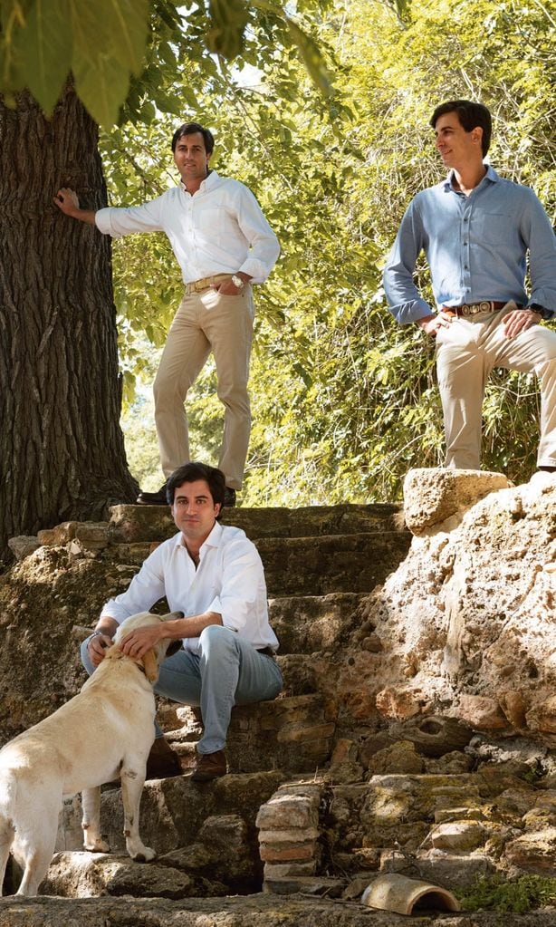 \'El Lavadero de Santa Teresa\'
