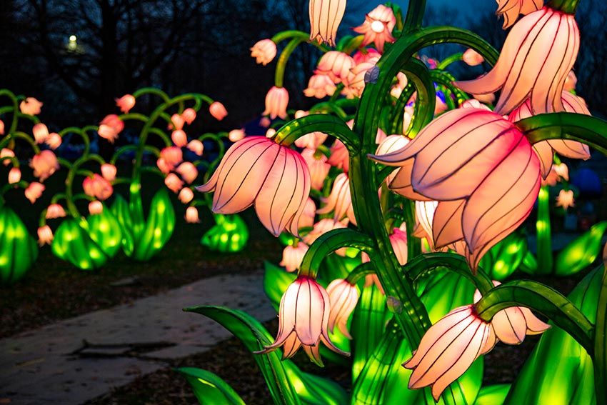 Winter-Lantern-Festival