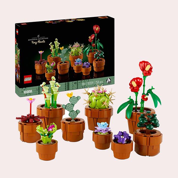 LEGO Botanical Plantas Diminutas con 9 Flores Artificiales