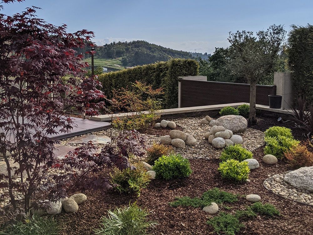Jardín con plantas y piedras