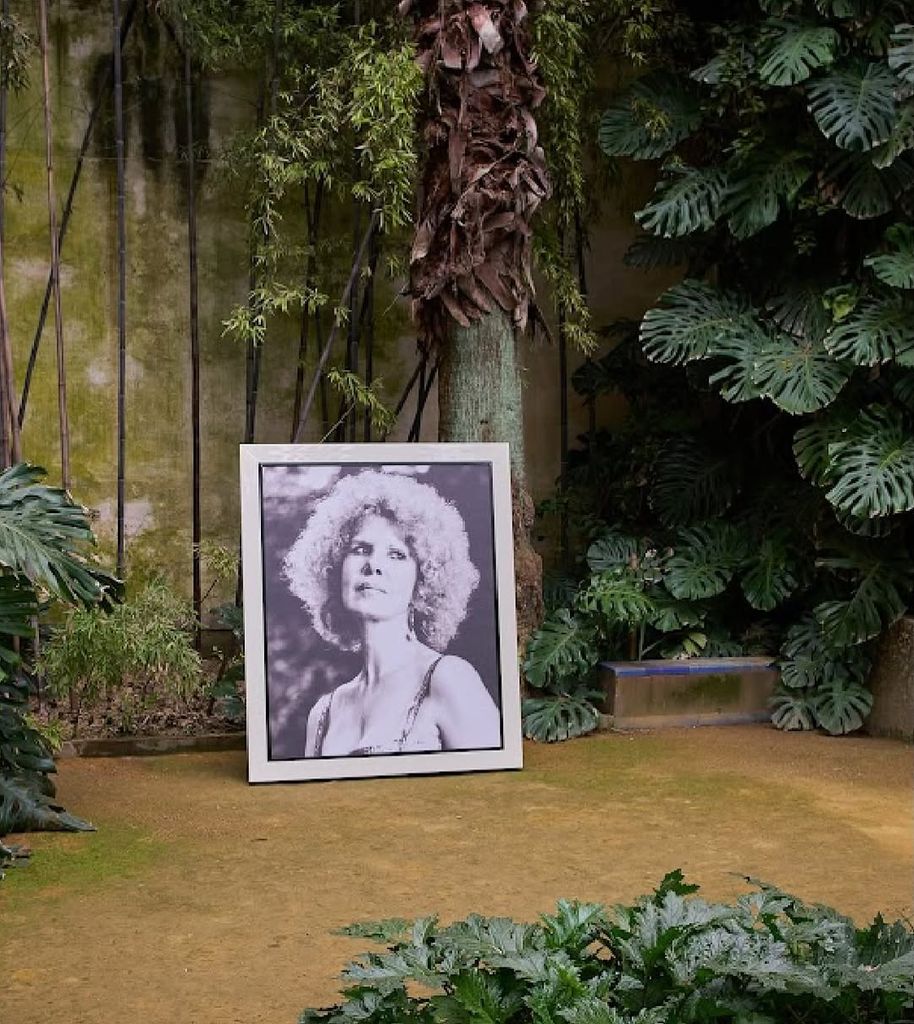 Media Image