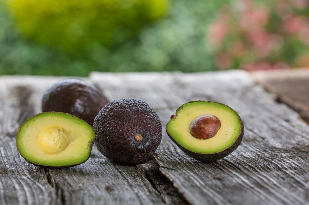 Aguacates