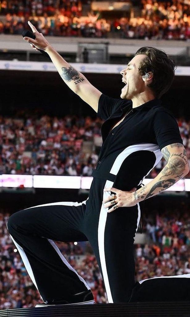 Harry Styles, vestido de Palomo Spain