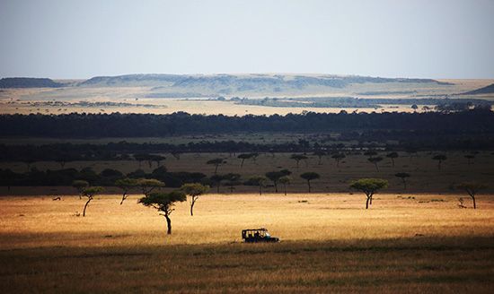 paisaje_africa_1