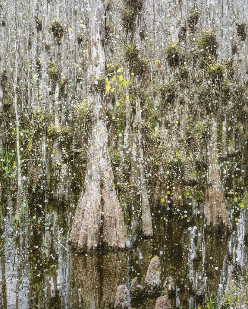 Una de las pinturas de Anastasia Samoylova.