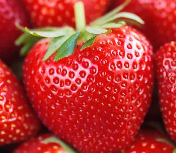 Fresas