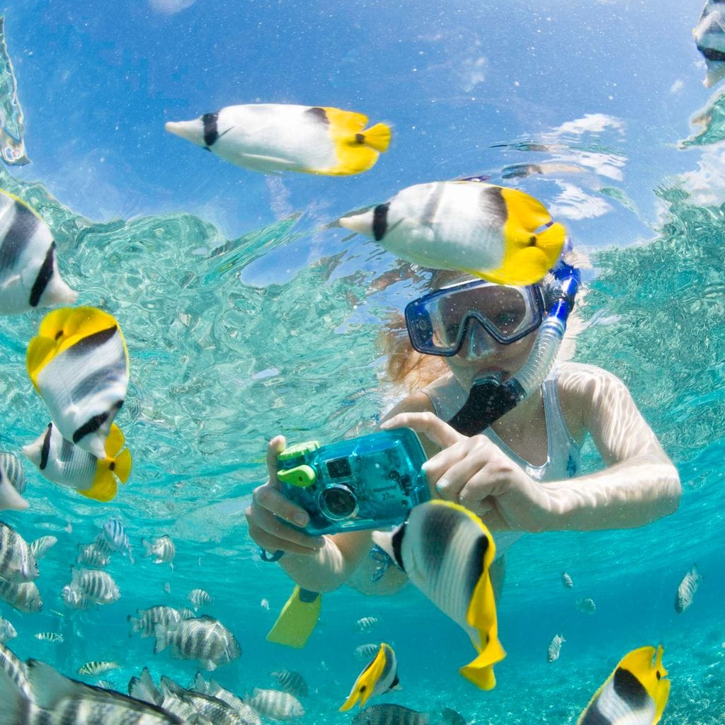 qu hacer en los cabos 