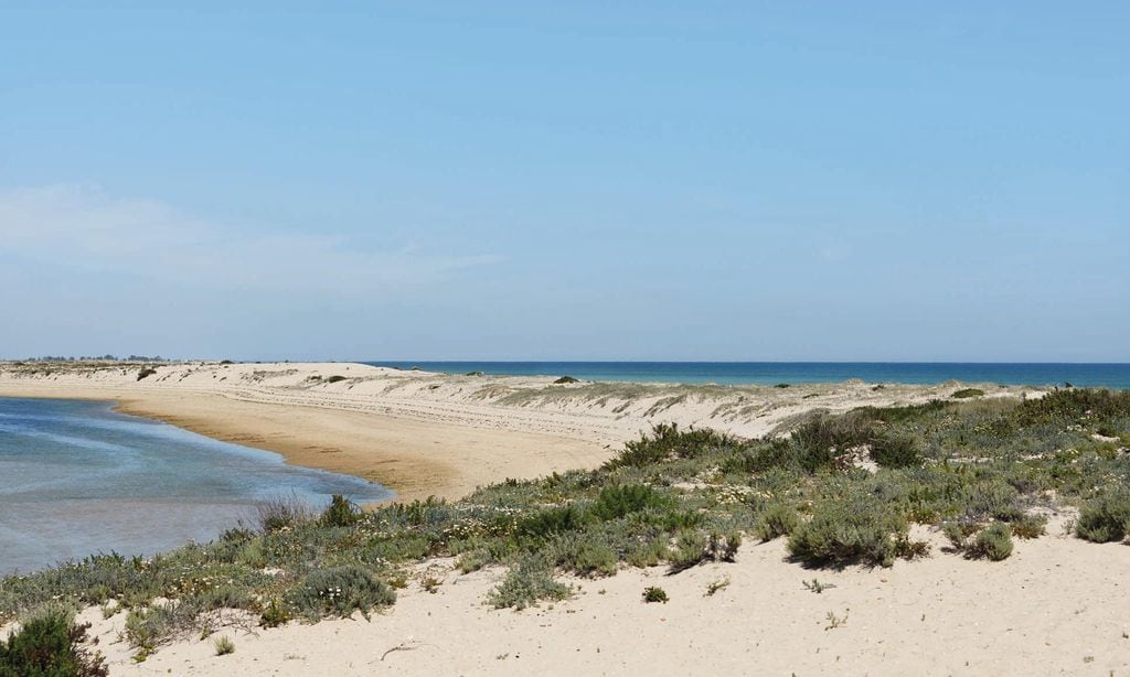 Playa HOLA LIVING 29
