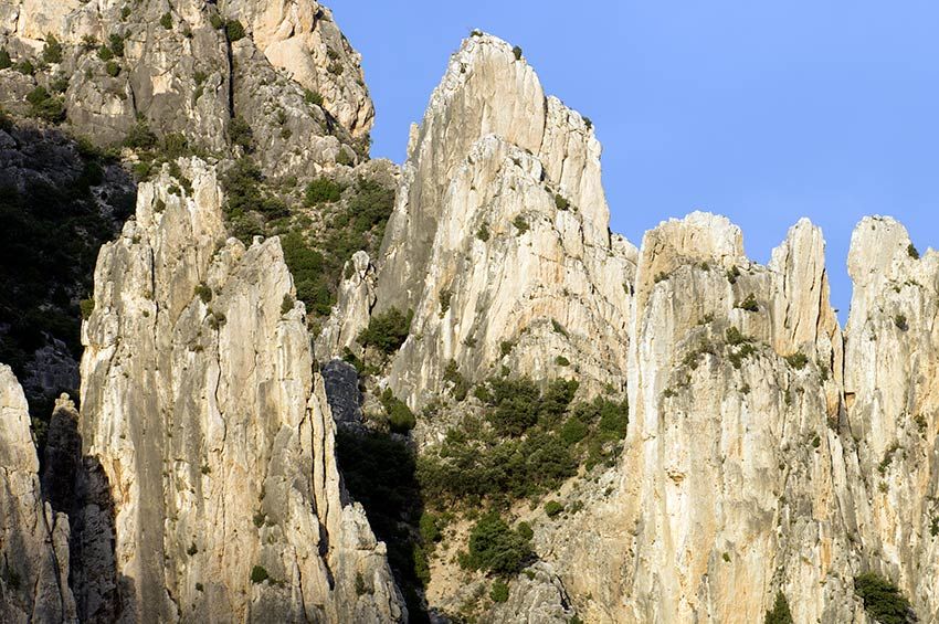 organos-montoro-teruel