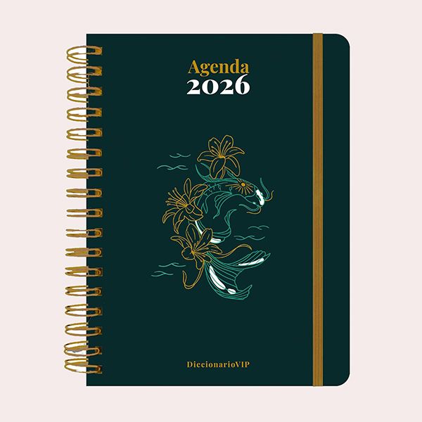 Agenda anual diaria 2026 "DiccionarioVip" (TANTANFAN)