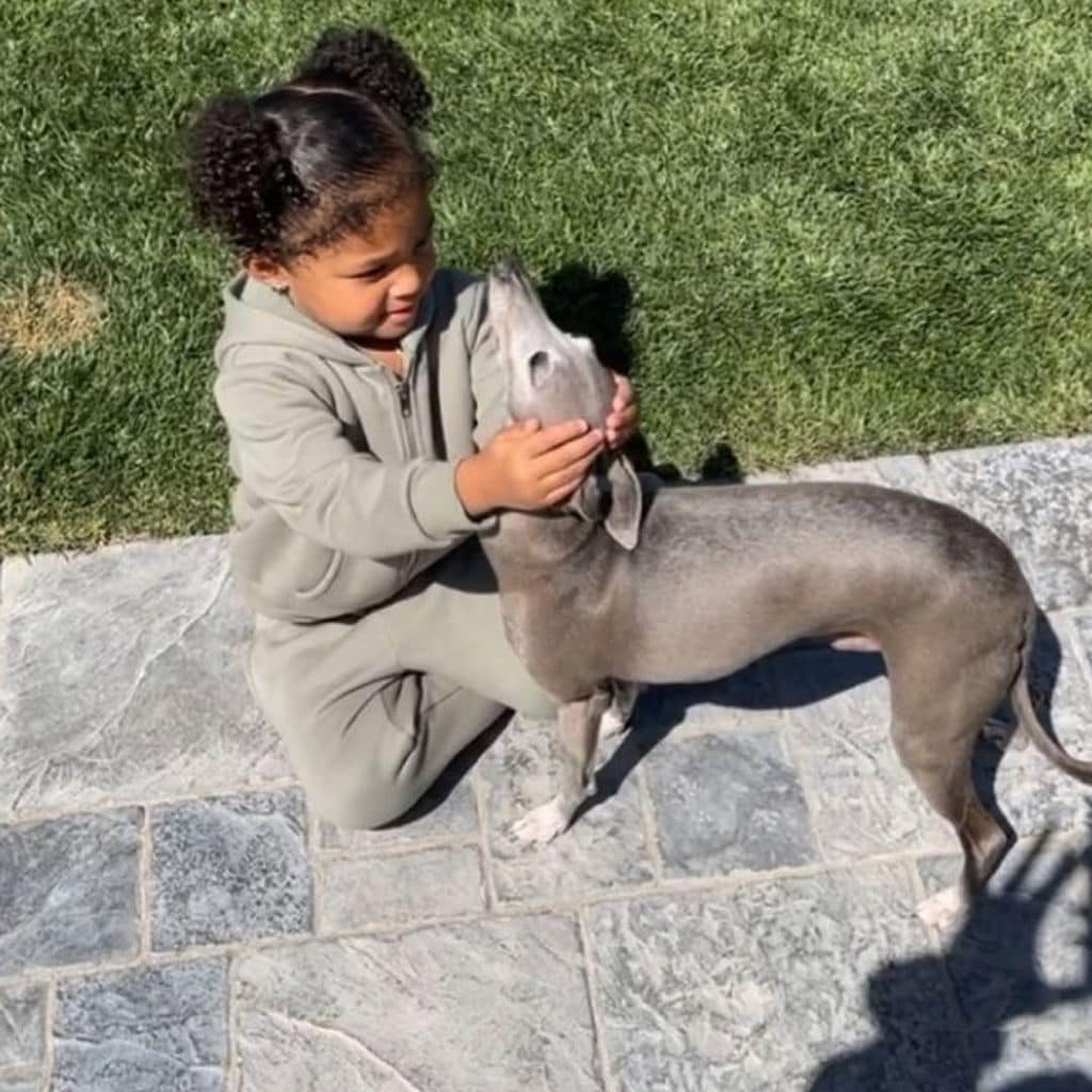 Los hijos de Kylie Jenner le tenían mucho cariño al lomito