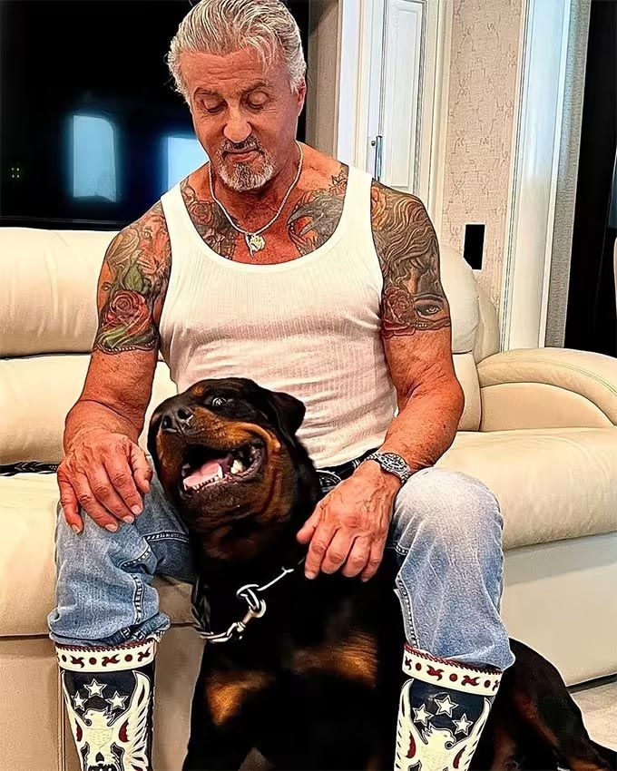 Sylvester Stallone