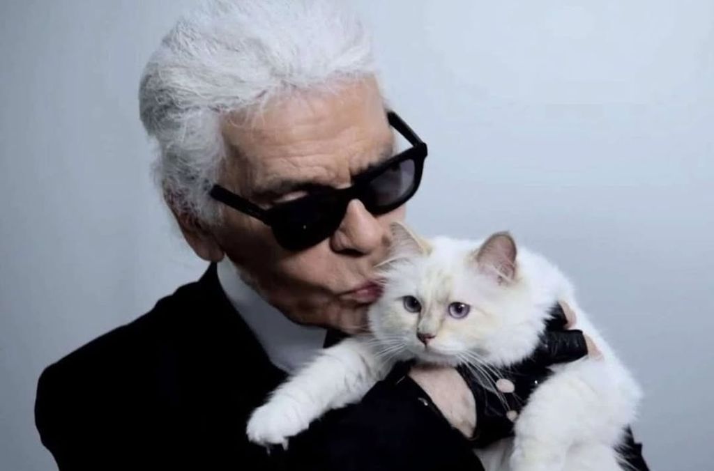 Choupette 