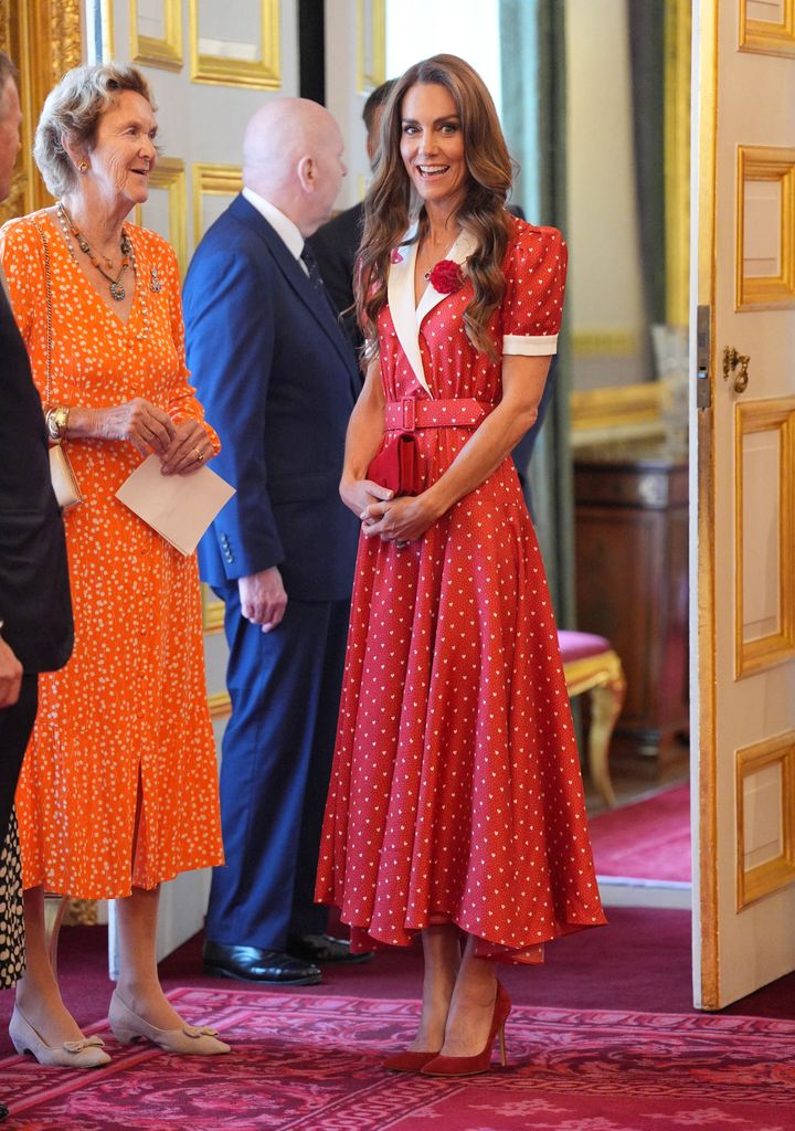La Princesa de Gales durante la recepción del Palacio de St James