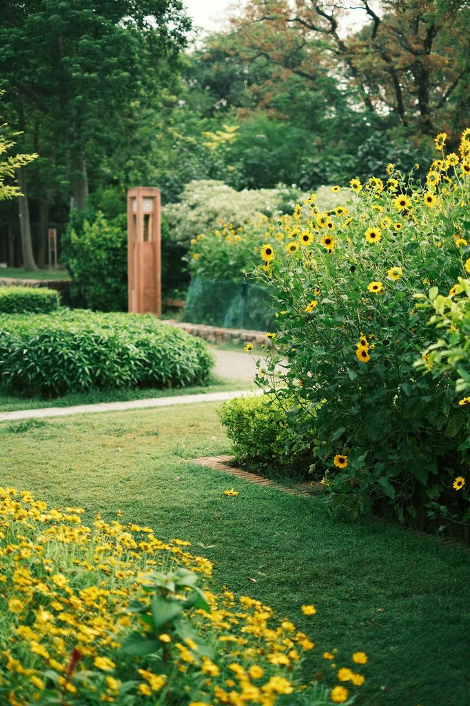 Jardín con césped